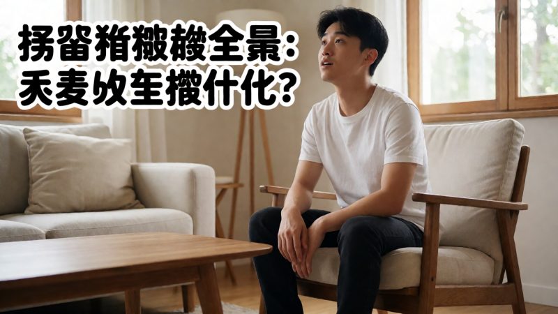 捣蛋猪搜索全景:大家都在搜什么? 配图